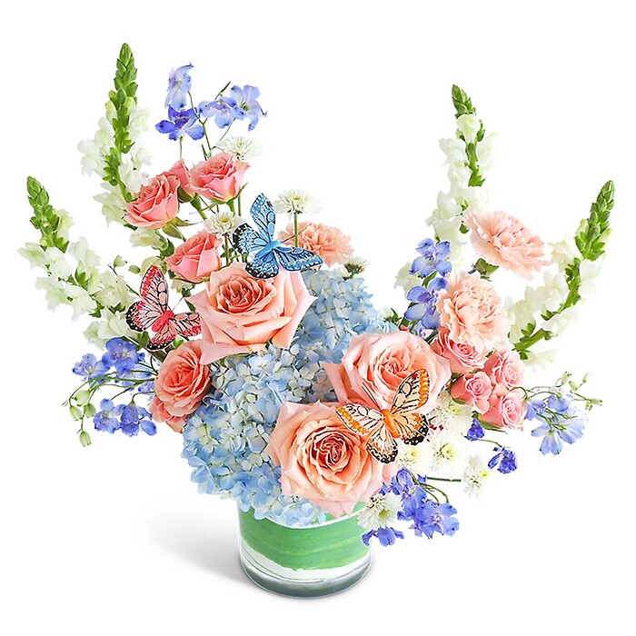 Juliette Butterfly Oasis