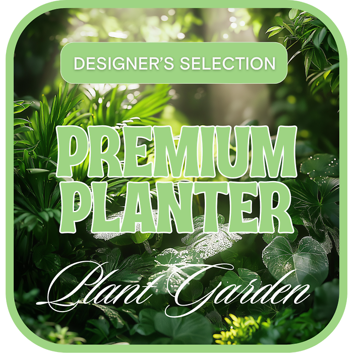 Designer's Choice Premium Planter