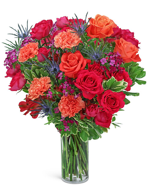 Breathtaking Bellini