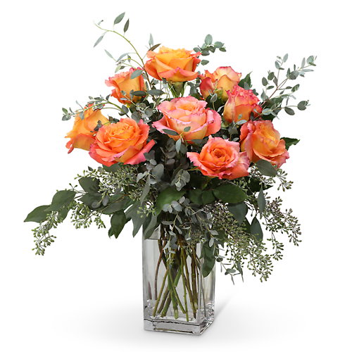 Free Spirit Roses (9)