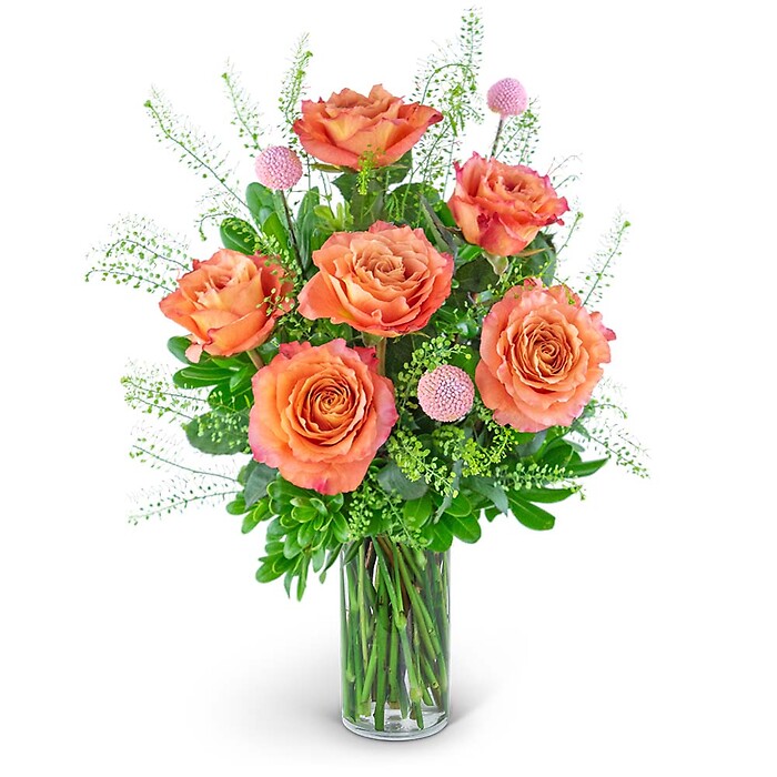 Half Dozen Free Spirit Rose Symphony