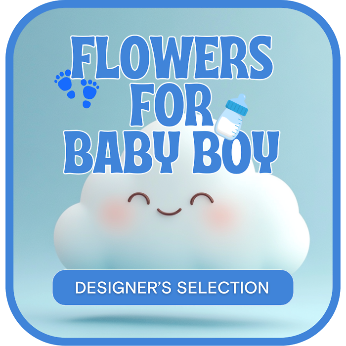 Designer's Selection Baby Boy
