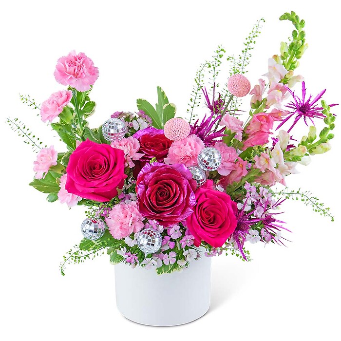 Disco Fantasy Garden