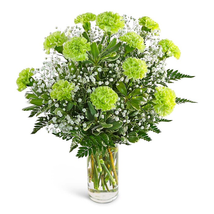 One Dozen Green Carnations with Babies Breath