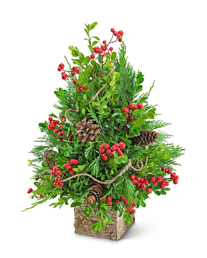 Berries &amp; Cones Boxwood Tree