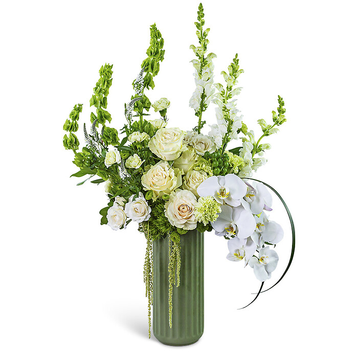 Cashmere Orchid Sway