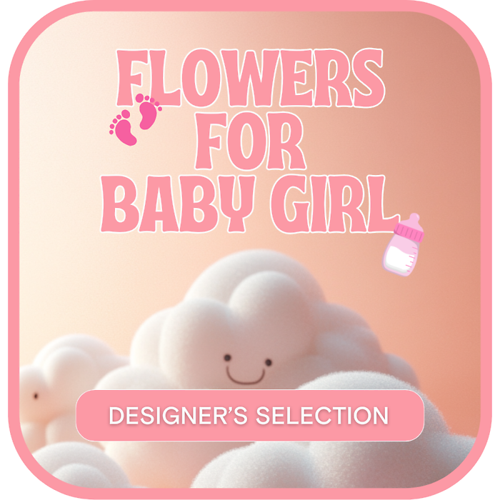 Designer's Selection Baby Girl