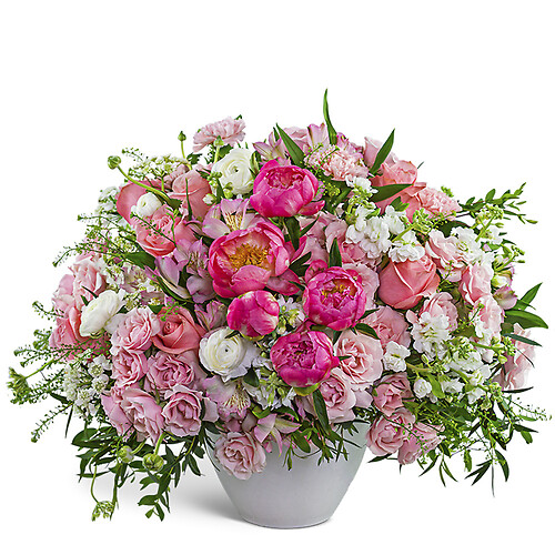 Provence Peony Garden