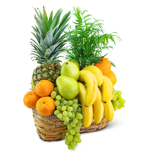 Green Goodness Fruit &amp; Plant Basket