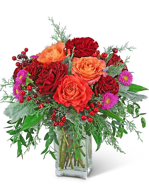 Pineberry Winter Spirit