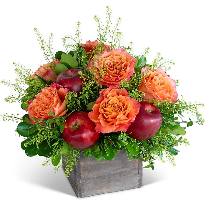 Rosy Orchard Harvest