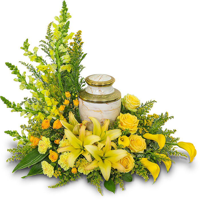 Radiant Remembrance Cremation Tribute