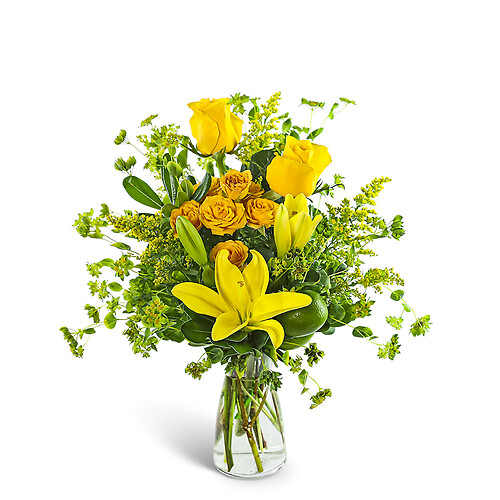 Sweet Limonata Blooms